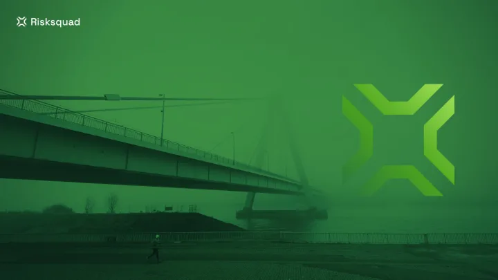 Video calls, bridge variant preview